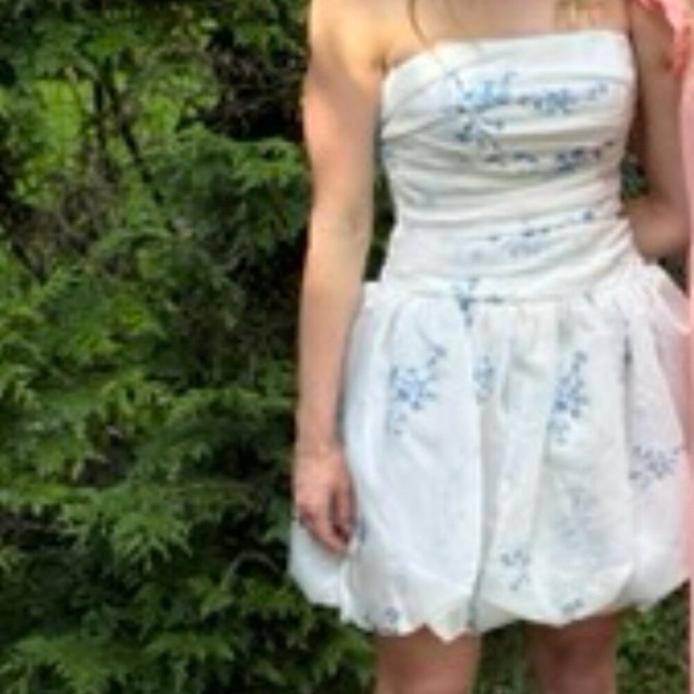 Jenny Yoo "Ada" Strapless Mini Dress – Altered Size 2 (Originally Size 4)